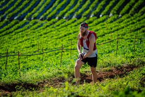 BIB: 
                            <button type="button" onclick="openModal(19160637)" class="btn btn-primary btn-sm float-right btn-popup" data-toggle="modal" data-target=".modal-high-quality">
                        <i class="fas fa-shopping-cart"></i> Add to Cart
                    </button>
                                            <button type="button" onclick="isThisMe(19160637, true)" class="btn btn-success btn-sm float-right btn-popup btn-isme hidden" data-toggle="tooltip" data-placement="bottom" title="นี่คือรูปของคุณใช่ไหม คลิกที่นี่เพื่อเอาเข้าอัลบั้ม">
                        <i class="fas fa-plus"></i> Add to album
                    </button>
                    <button type="button" onclick="isThisMe(19160637, false)" class="btn btn-warning btn-sm float-right btn-popup btn-isnotme hidden">
                        <i class="fas fa-ban"></i> Remove from album
                    </button>